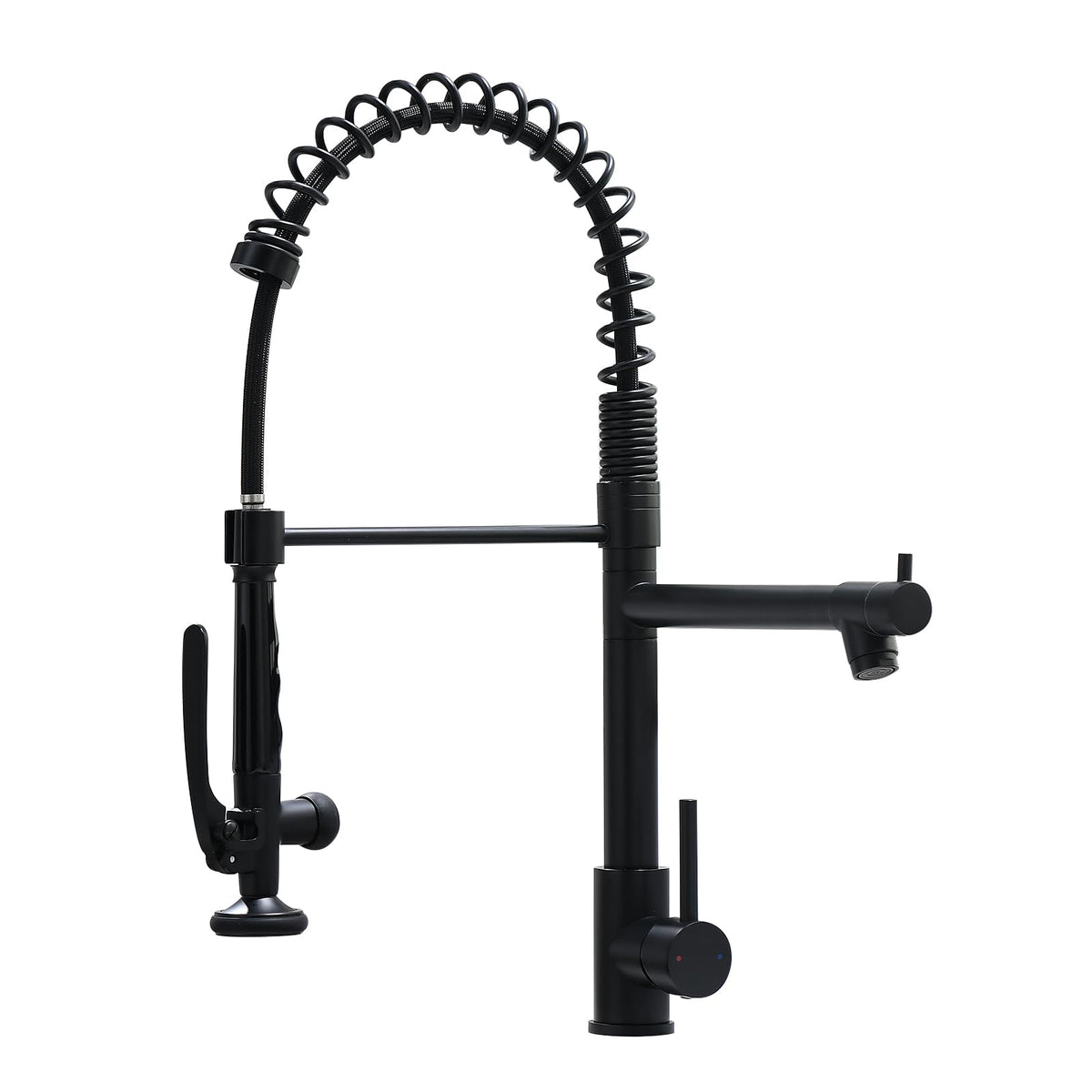 Fapully Chrome Kitchen Faucet with Sprayer,Commercial Faucet