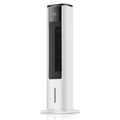 Whole House Heater Dual-Purpose Air-Conditioning Fan Cooling Fan Tower Type Household Water-Cooled Small Air Conditioner Remote Control Timing Heating Supplies