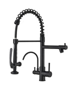 Fapully Black Kitchen Faucet with Pull Down Sprayer,Commercial LED Kitchen Faucet,Single Handle Single Hole Kitchen Sink Faucets