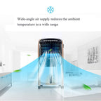Household Air-Conditioning Fan Portable Heater Cooling and Heating Fan with Remote Control and Timer Function Humidity Balance Home/Commercial