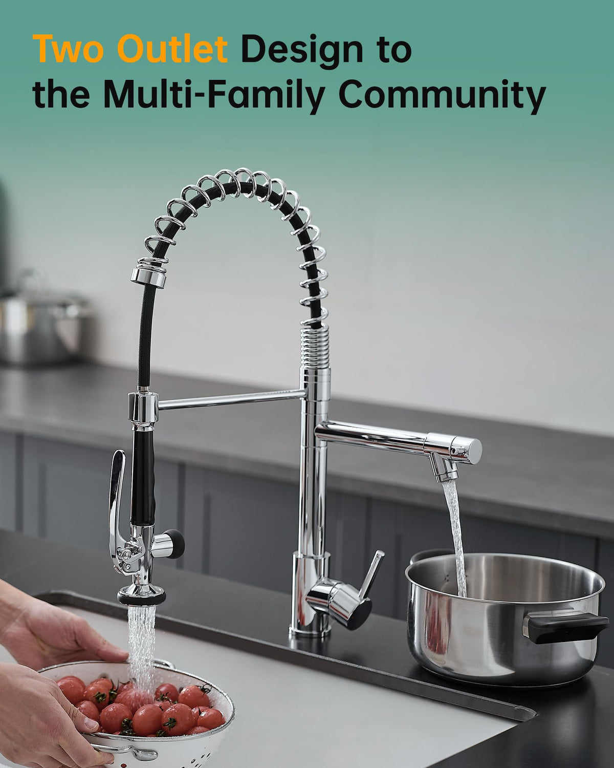 Fapully Chrome Kitchen Faucet with Sprayer,Commercial Faucet