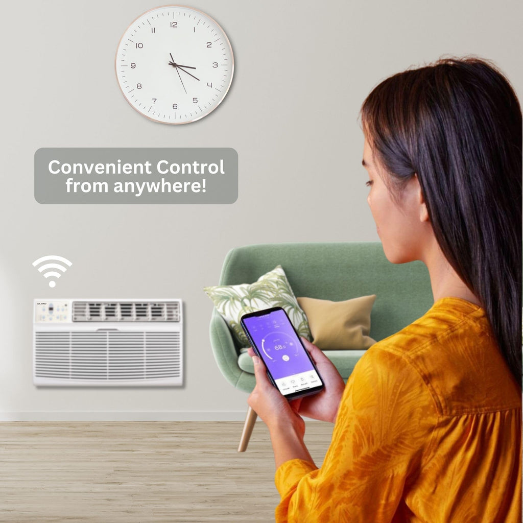 OLMO 8,000 BTU 115V Through-the-Wall AC & Heater, with Wall Sleeve