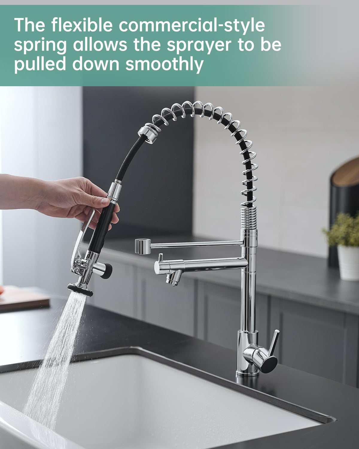 Fapully Chrome Kitchen Faucet with Sprayer,Commercial Faucet