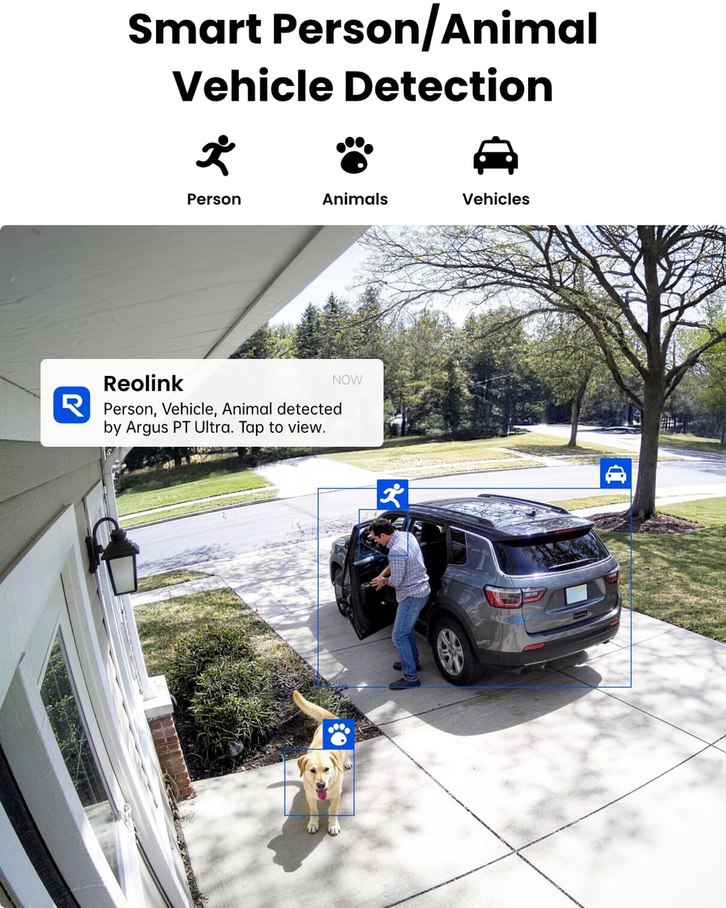 REOLINK Argus PT Ultra 4K Solar Security Cameras Wireless Outdoor 4 Cam Kit