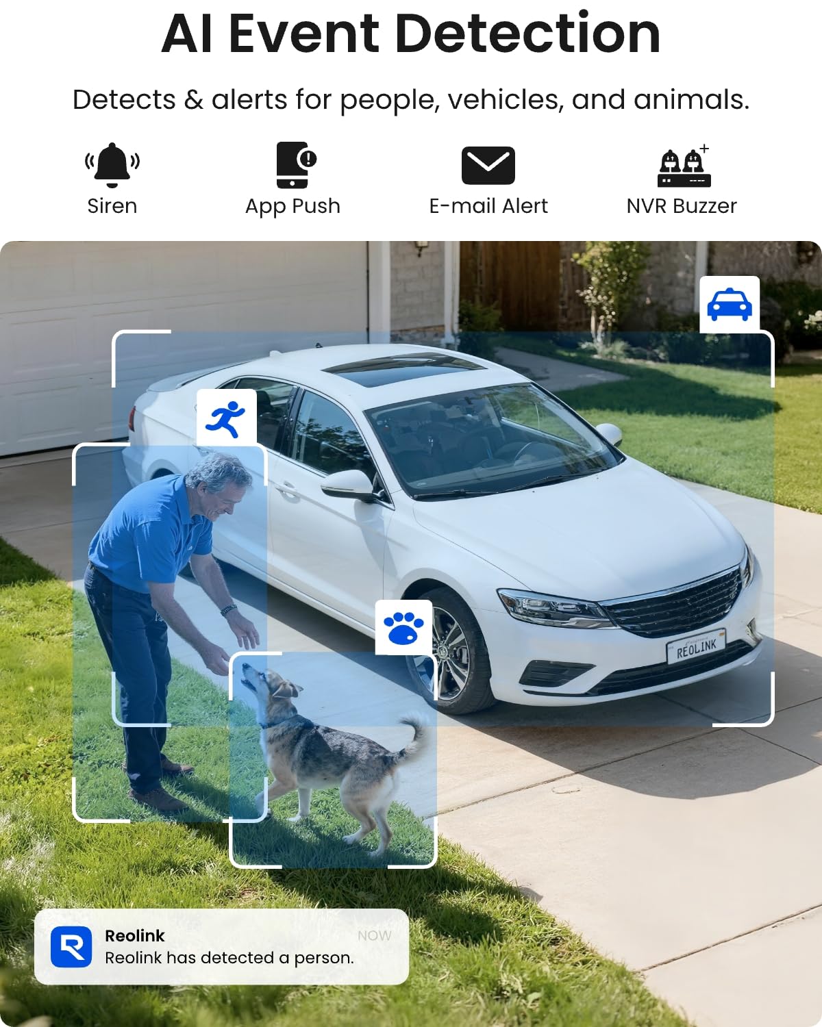 REOLINK 8CH 12MP PoE Security Camera System with 4TB HDD RLK8-1200D4-A