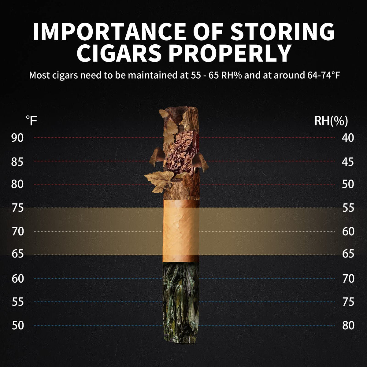 NEEDONE Electric Cigar Humidor 23L with Heating and Cooling Control System