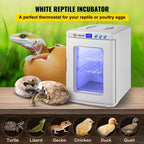 Happybuy White Reptile Incubator 25L Scientific Lab Incubator Digital Incubator Cooling and Heating 5-42°C Reptile Egg Incubator 12V/110V Work for Small Reptiles